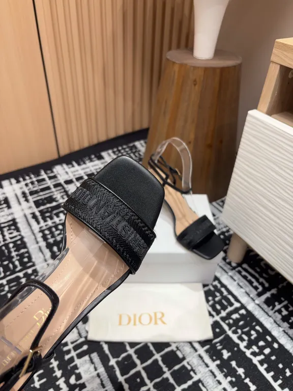 Dior Shoe 